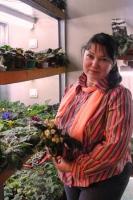 Аватара пользователя