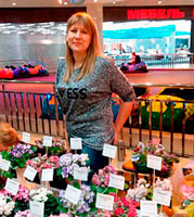 Аватара пользователя